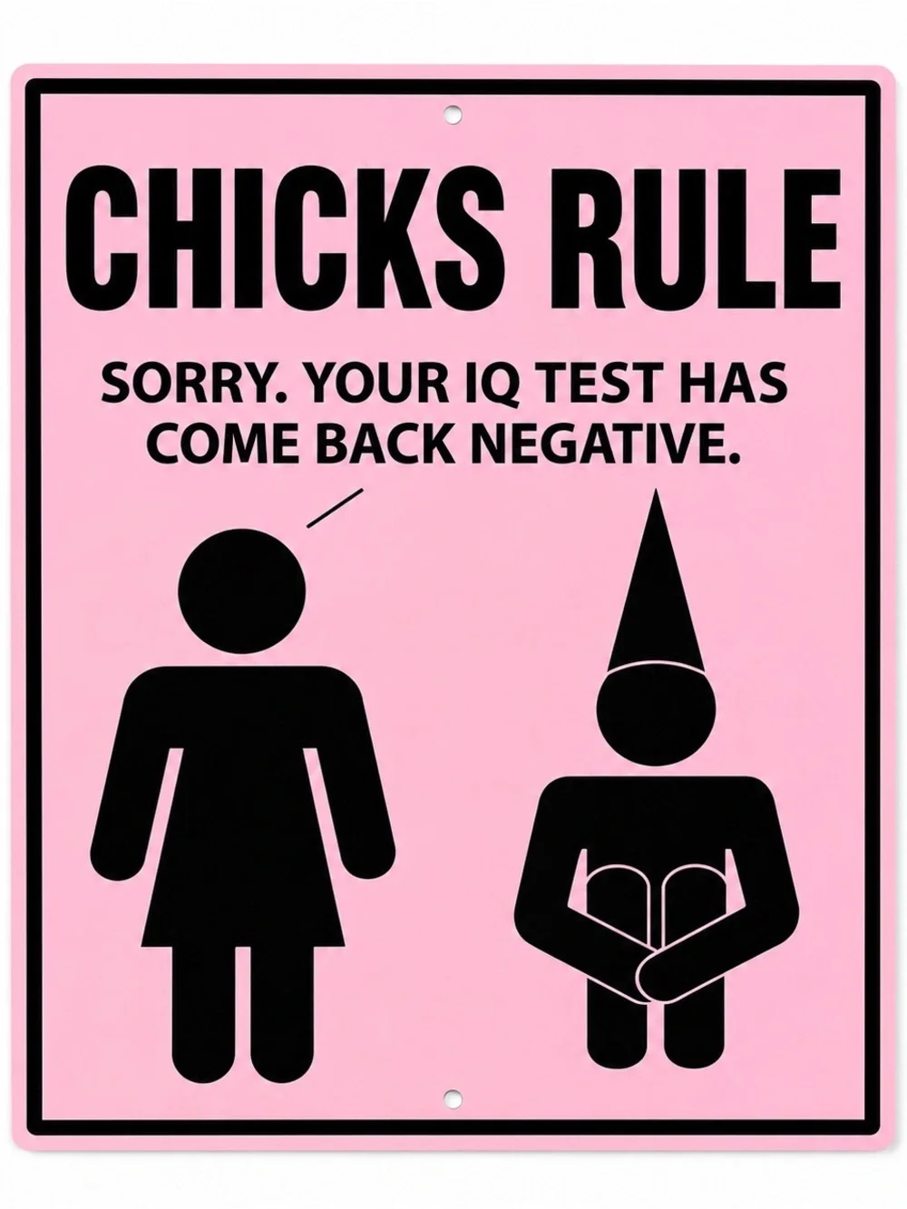 NEW Chicks Rule Metal Sign